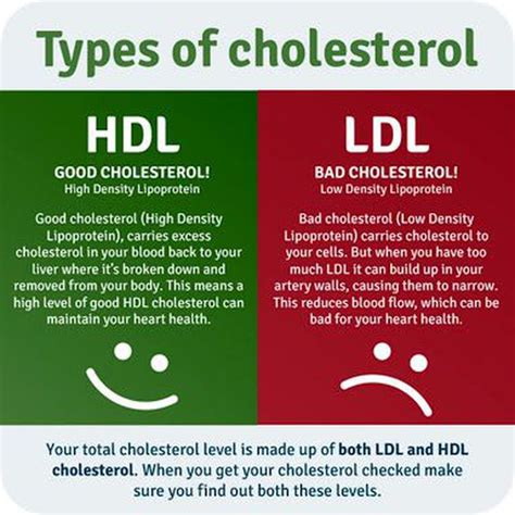 Type of Cholesterol. - MEDizzy