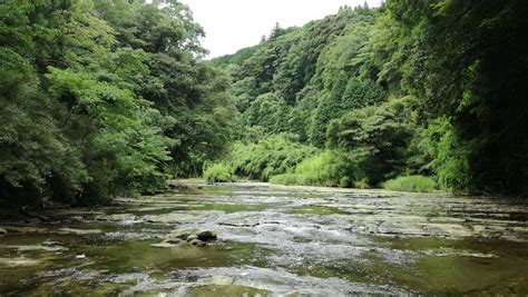 Yoro Valley In Chiba - Incredible Natural Wonders All Year Long ...