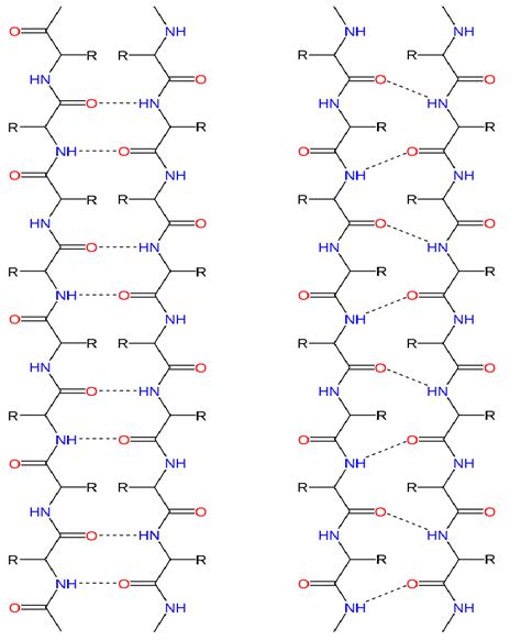 Difference Between Alpha Helix and Beta Pleated Sheet