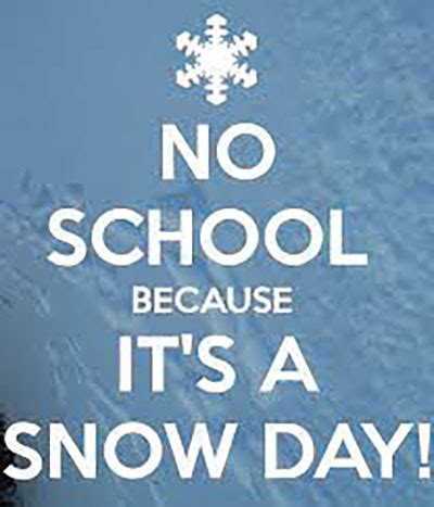 SNOW DAY - NO SCHOOL - LSNHS