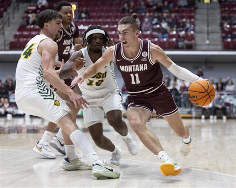 Montana vs. NDSU men's basketball 06.JPG