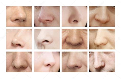 Noses of different shapes Stock Photo by ©natalia2484 42268289