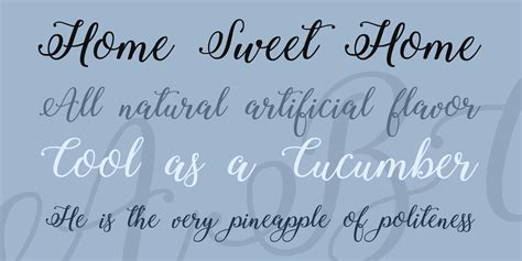 Winter Calligraphy Font FREE Download & Similar Fonts | FontGet