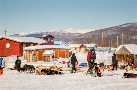 Late Iditarod Volunteer in Kaltag receives Nayokpuk Award - Alaska Public Media