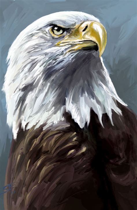 Best 25+ Eagle drawing ideas on Pinterest | Eagle sketch, Eagle tattoos and Drawings of eagles