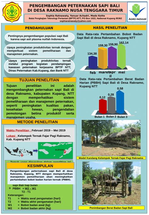 (PDF) PENGEMBANGAN PETERNAKAN SAPI BALI DI DESA RAKNAMO NUSA TENGGARA TIMUR