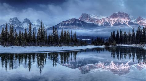 Picture Winter Spruce Nature Mountains Snow Lake Scenery 2560x1440