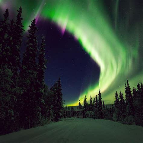 Alaska Northern Lights Tours | Travel Alaska