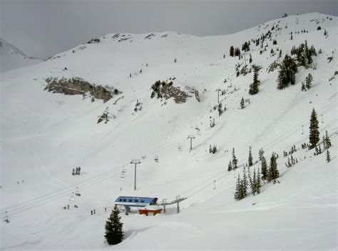 Ski resort Snowbird - Skiing Snowbird