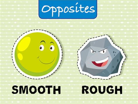 Opposite words for smooth and rough | Premium Vector