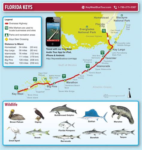 Florida Keys Map Of Beaches - Printable Maps