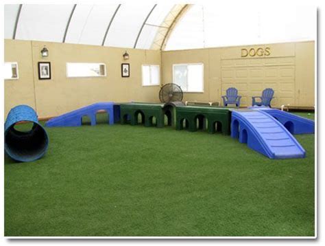 Indoor dog park, Indoor dog, Dog playground