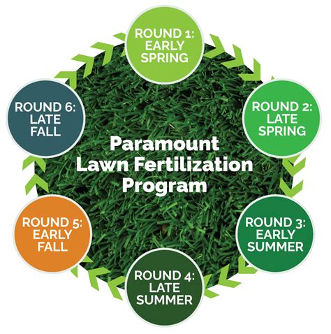 Now’s the Time to Get on the Lawn Fertilizer Schedule - Paramount Landscaping