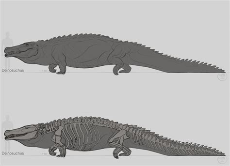 Deinosuchus Size