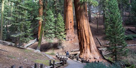 Destination Sequoia + Kings Canyon: A Westslope Itinerary - Outdoor Project