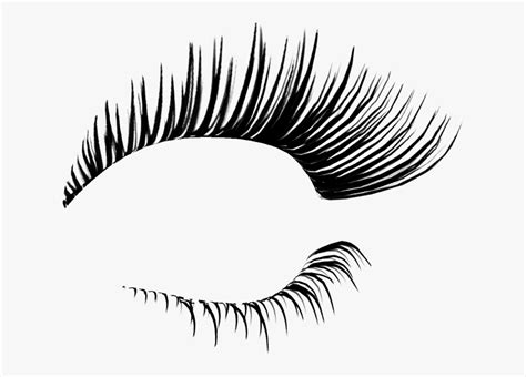 cartoon eyelashes clipart 10 free Cliparts | Download images on Clipground 2024