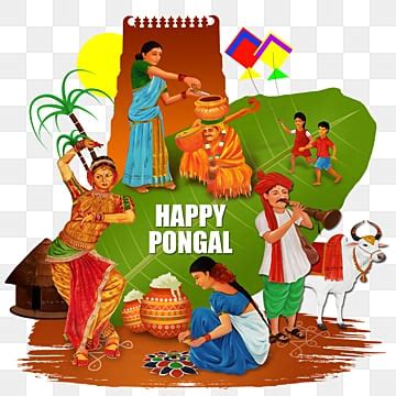 Sankranthi Pongal PNG Transparent Images Free Download | Vector Files | Pngtree