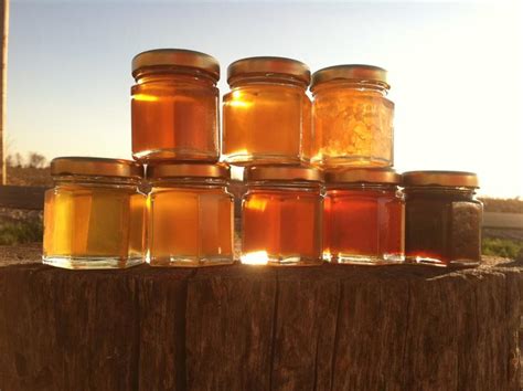 Honey Sampler 8 varieties of pure raw honey » Petagadget