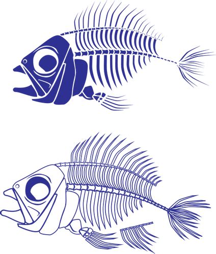 Fish skeleton vector graphics | Public domain vectors