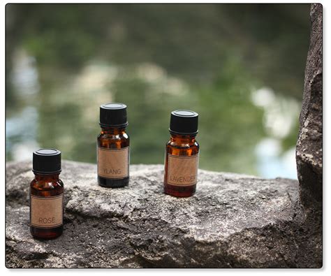 The Top 4 Best-Smelling Essential Oils for Your Home? - Silver Stone ...