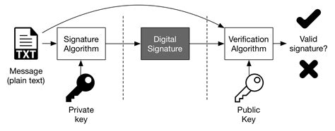 Verifying digital signatures | Exploited Bunker