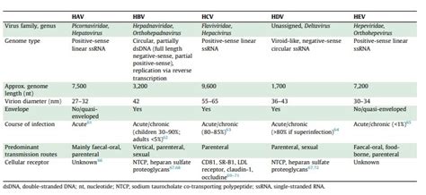 Hepatitis Causes