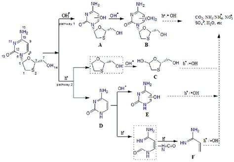 Scheme 5. Proposed photocatalytic degradation mechanism of lamivudine... | Download Scientific ...