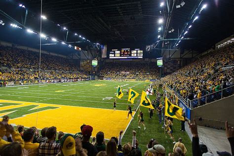 North Dakota State Bison football | Bison football, Ndsu bison football ...