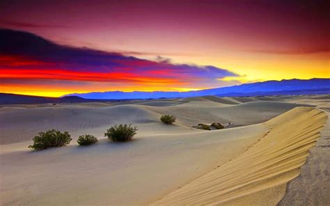 Lotte on Twitter in 2022 | Desert background, Sunset wallpaper, Desert ...