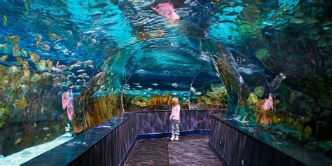 Best Aquariums For Kids | POPSUGAR Moms