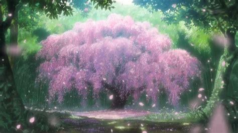 Top 164 + Anime cherry blossom tree - Inoticia.net