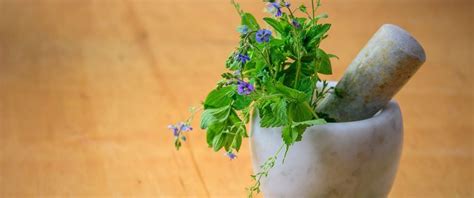 Herbal medicine class scheduled in Lewisburg - New River Community and Technical College