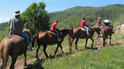 14 Best California Horseback Riding Trails, Beaches, and Centers