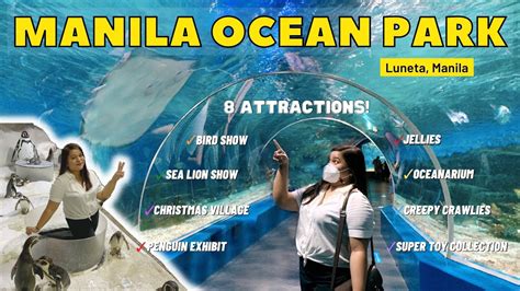 Manila Ocean Park 2022 | Luneta, Manila | 8 Attractions | Penguin Feeding | Schedule | Entrance ...