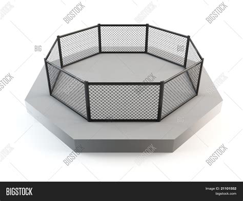 MMA Octagon Ring Image & Photo (Free Trial) | Bigstock