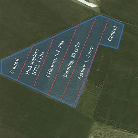 Field experiment diagram. | Download Scientific Diagram