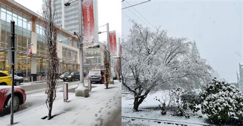 Metro Vancouver sees first snowfall of the season (PHOTOS + VIDEOS)