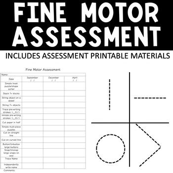 Fine Motor Assessment by Little Minds Workshop | TpT