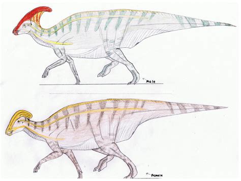 Parasaurolophus walkeri by Pappasaurus on DeviantArt