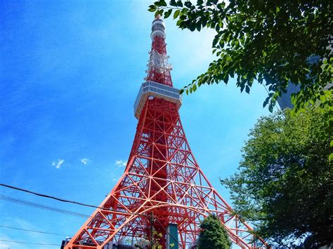 The Ultimate Views From The Tokyo Tower - Explore Shaw