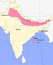 The Impact of Geography on Indian History - history, india, indus ...