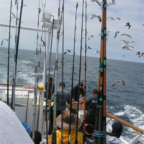 Seaforth Sportfishing (San Diego) - 2023 Alles wat u moet weten VOORDAT je gaat - Tripadvisor