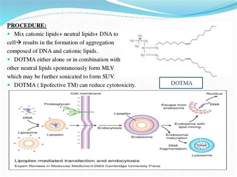 Liposomal gene delivery system