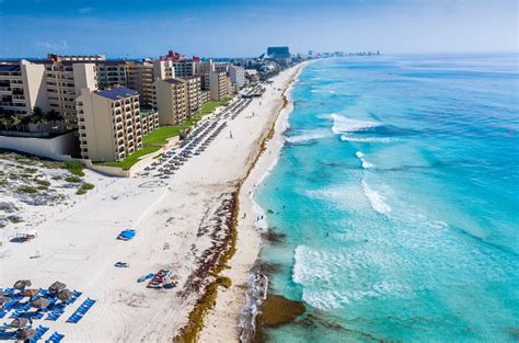 Sargassum Arrives On Cancun Beaches Early - Here’s What Travelers Need To Know - Travel Off Path