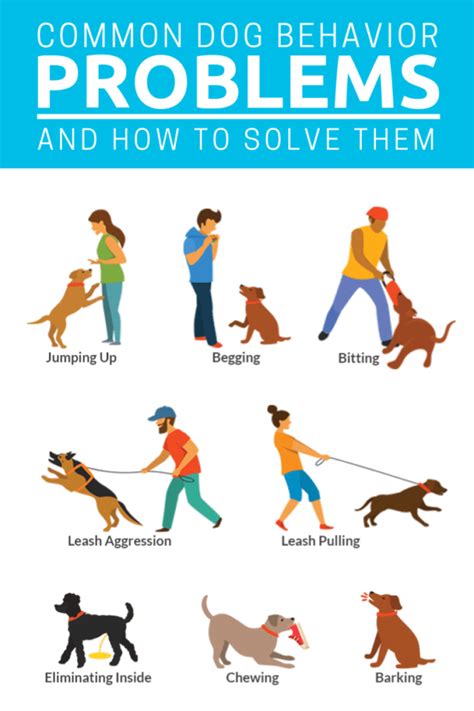 Dog behavior problems tips – Artofit