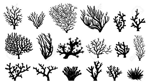 silhouettes de corail sur le fond blanc | Coral tattoo, Silhouette vector, Illustration