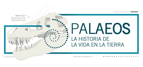 Palaeos, la historia de la Vida en la Tierra: El pecho de Homo erectus