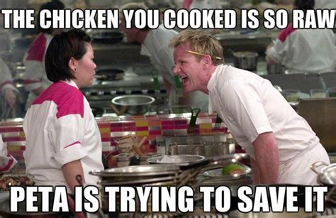 20 Best Gordon Ramsay Memes That Will Make You Go ROFL