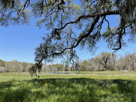 Best 10 Hikes and Trails in Brazos Bend State Park | AllTrails