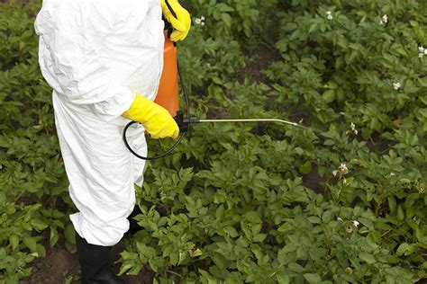 What Food Producers and Exporters Need to Know about Pesticide Residue ...